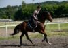 Horse Riding