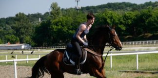 Horse Riding