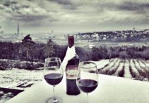 Aleksandar club! A ski trail club with an amazing view!