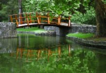 Kosutnjak.. a serbian historical forest park