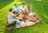 Ideal food for a perfect family or friendly trip around Belgrade!