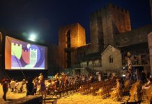 Danube film festival