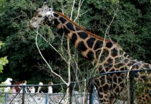 Belgrade Zoo – Garden of Good Hope