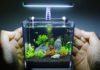Public Aquarium and Tropicarium Belgrade